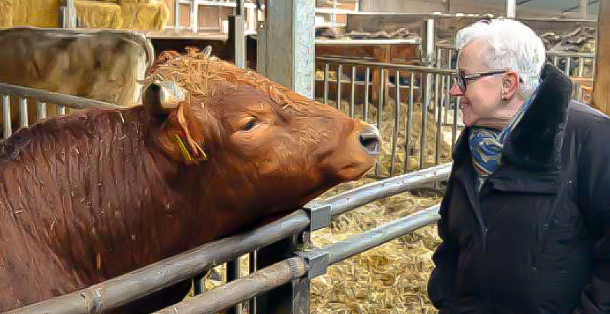 Fleisch aus artgerechter und regionaler Haltung